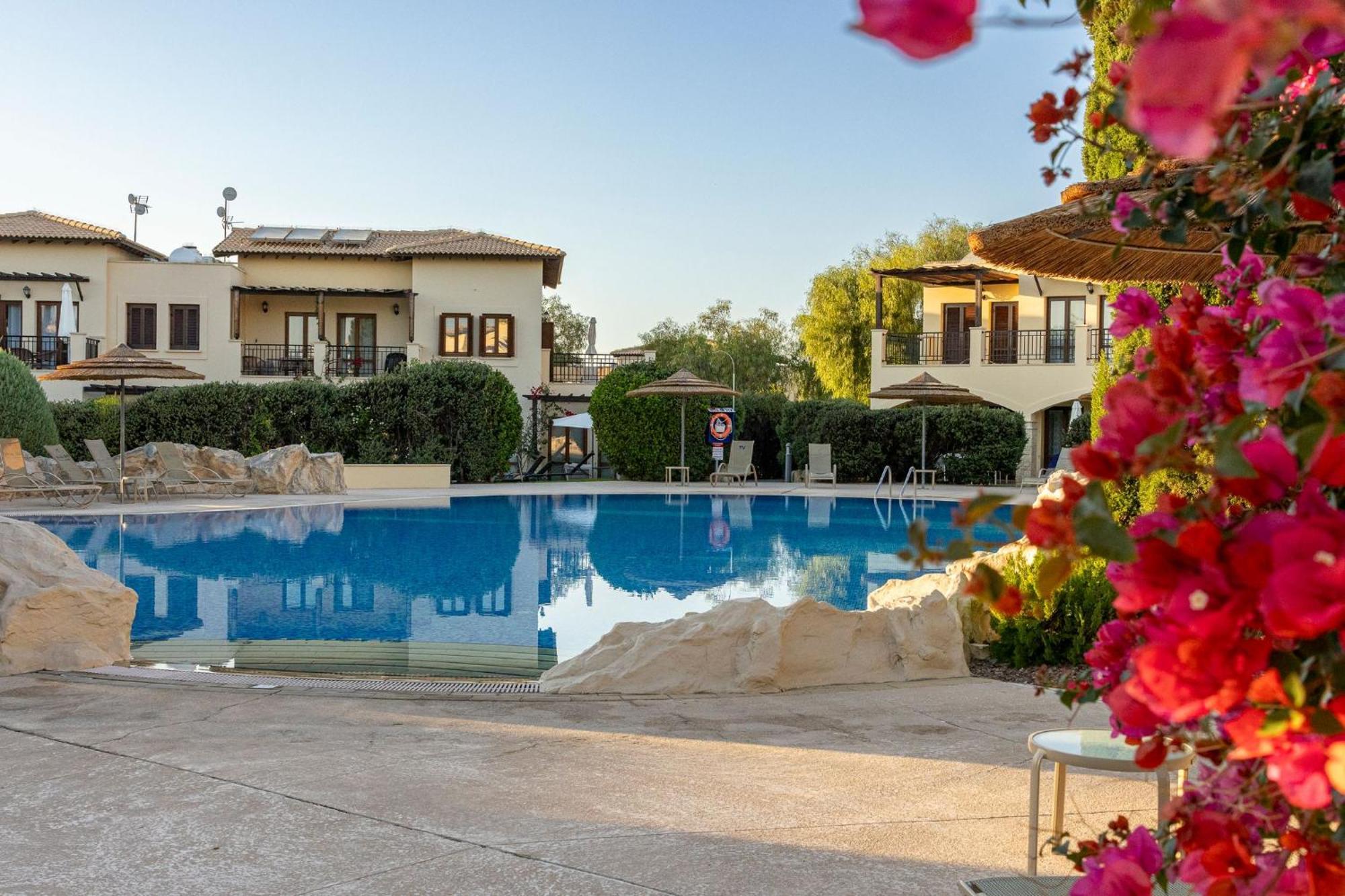 Aphrodite Premium Ii